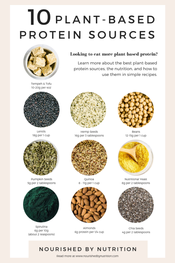 10 Best Sources of Plant-Based Protein - Nourished By Nutrition