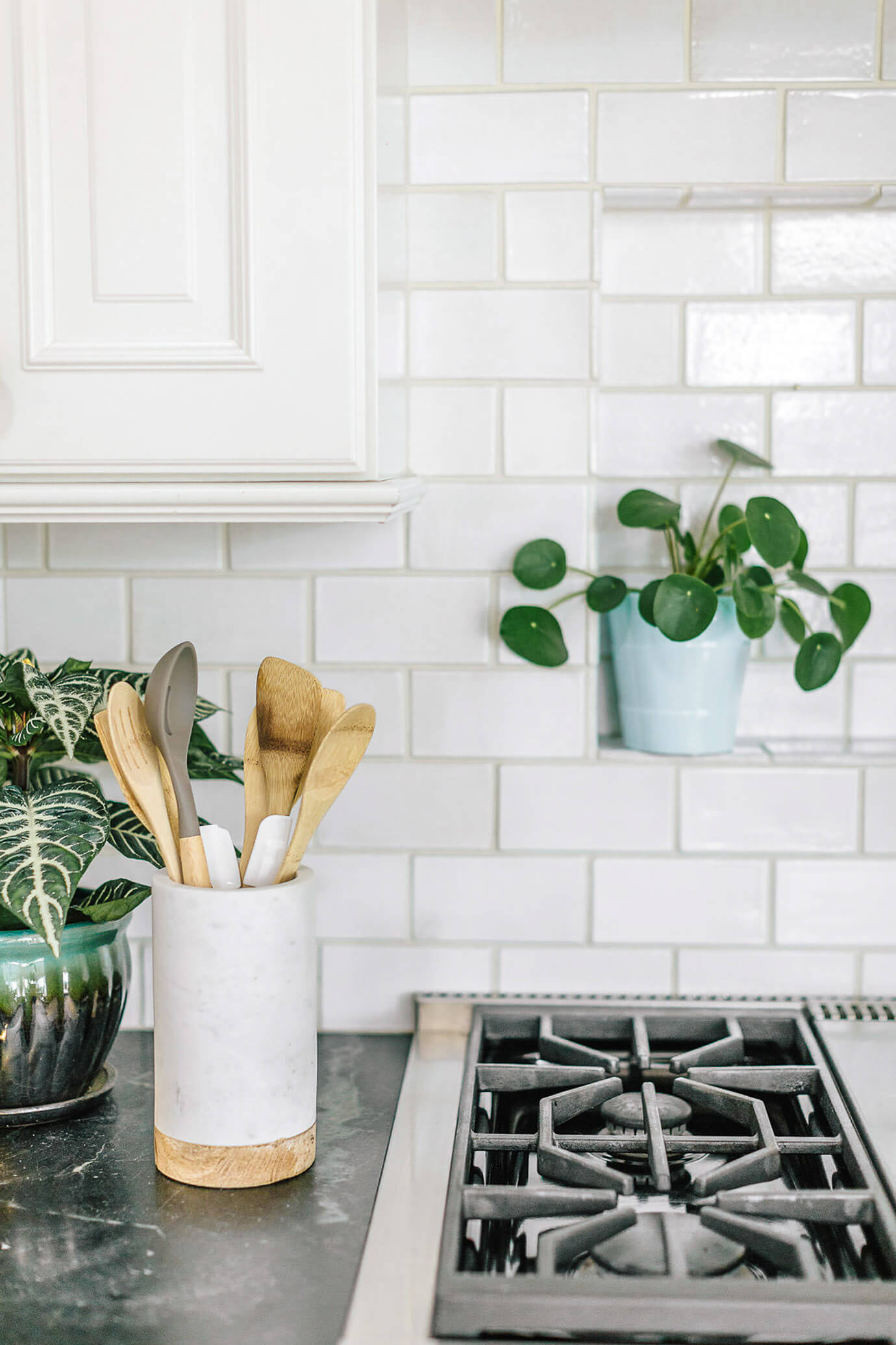 Kitchen stove-top with white subway tile and plants