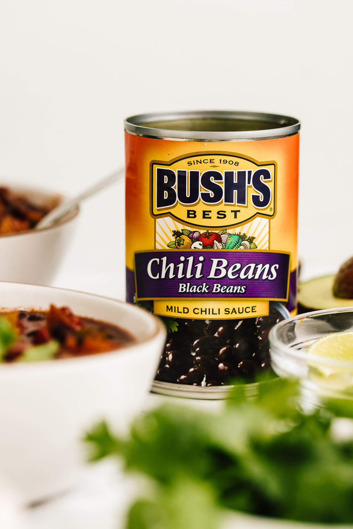 BUSH'S Black Beans in Mild Chili Sauce
